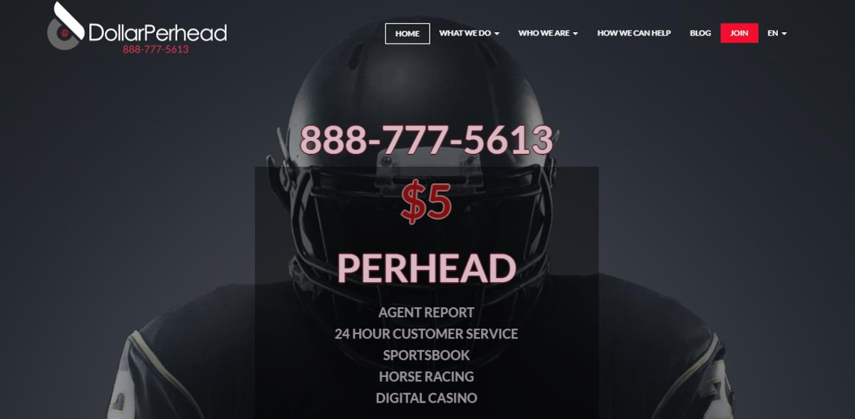 DollarPerHead.com Bookie Pay Per Head Review