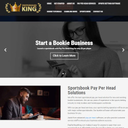 PayPerHeadKing.com Sportsbook Pay Per Head Review