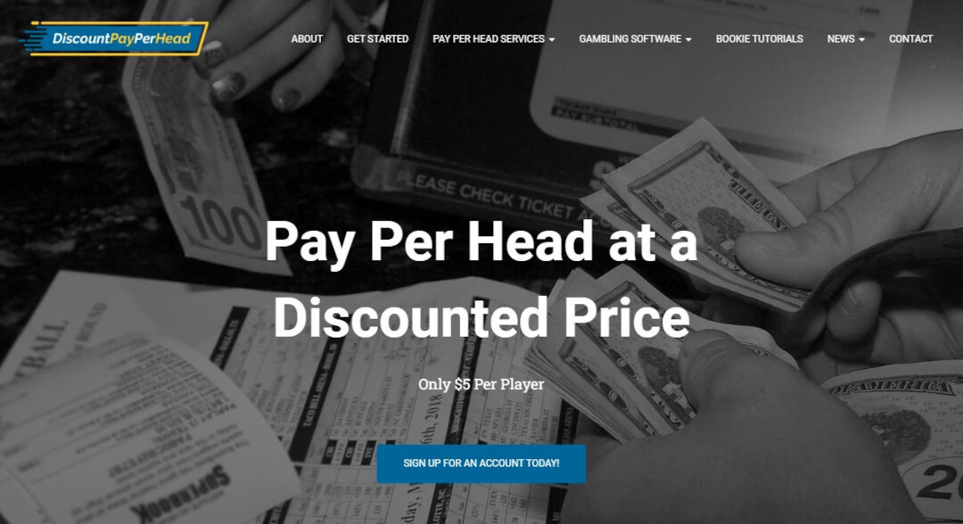 DiscountPayPerHead.com Pay Per Head Review