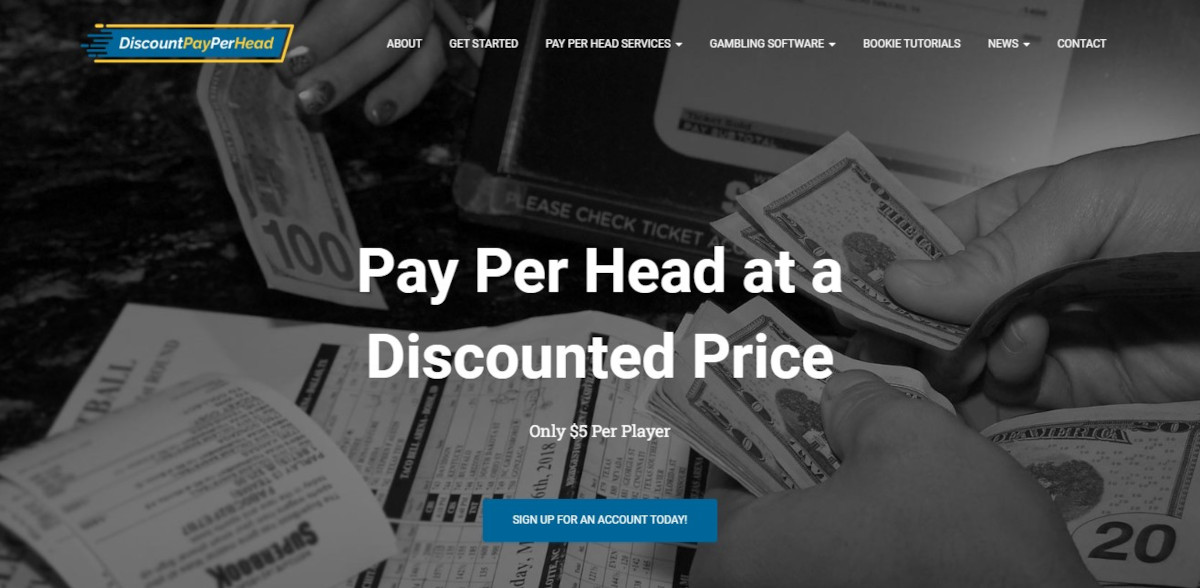 DiscountPayPerHead.com Pay Per Head Review