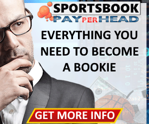 Learn how to Open and manage a sportsbook